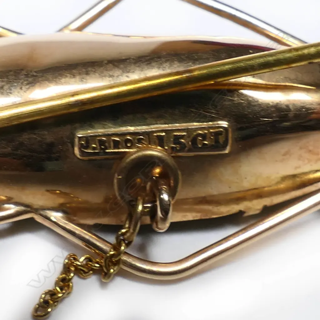Jones Bros (Auckland) 15ct gold and scarab beetle brooch, Image 1++